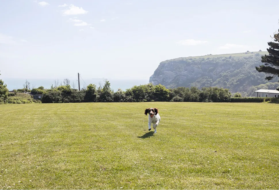whitecliff-bay-campsite-image