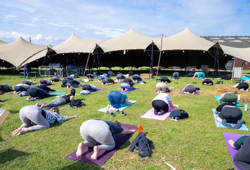 Wellness Gallery