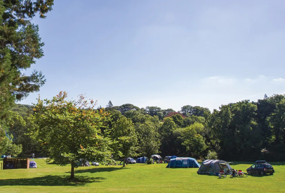 River Dart Country Park