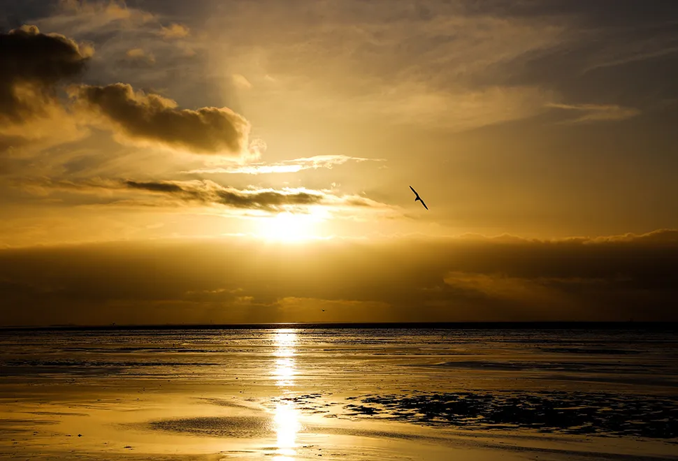 Hunstanton Camping and Glamping