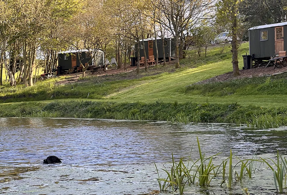 North Norfolk Camping & Glamping