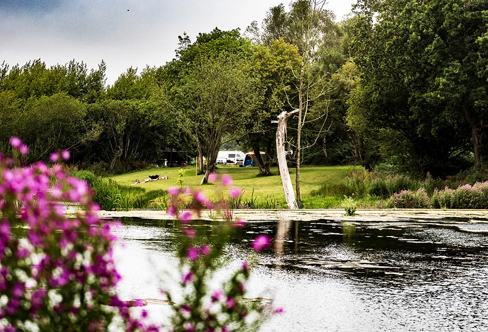 North Norfolk Camping & Glamping