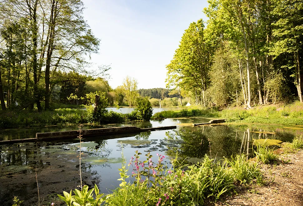 North Norfolk Camping & Glamping