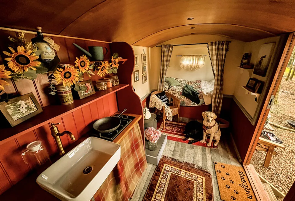 North Norfolk Camping & Glamping