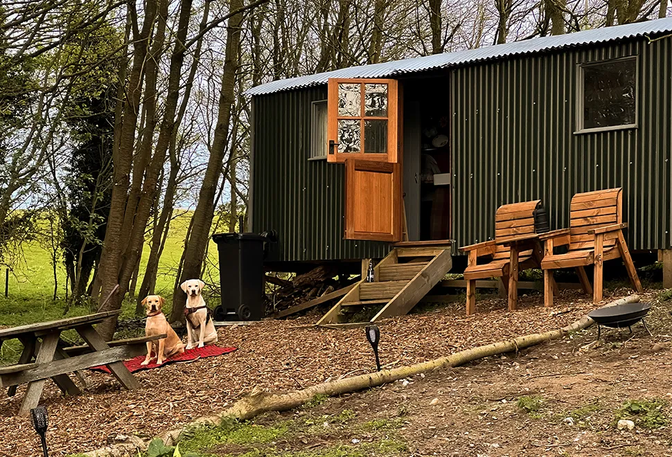 North Norfolk Camping & Glamping