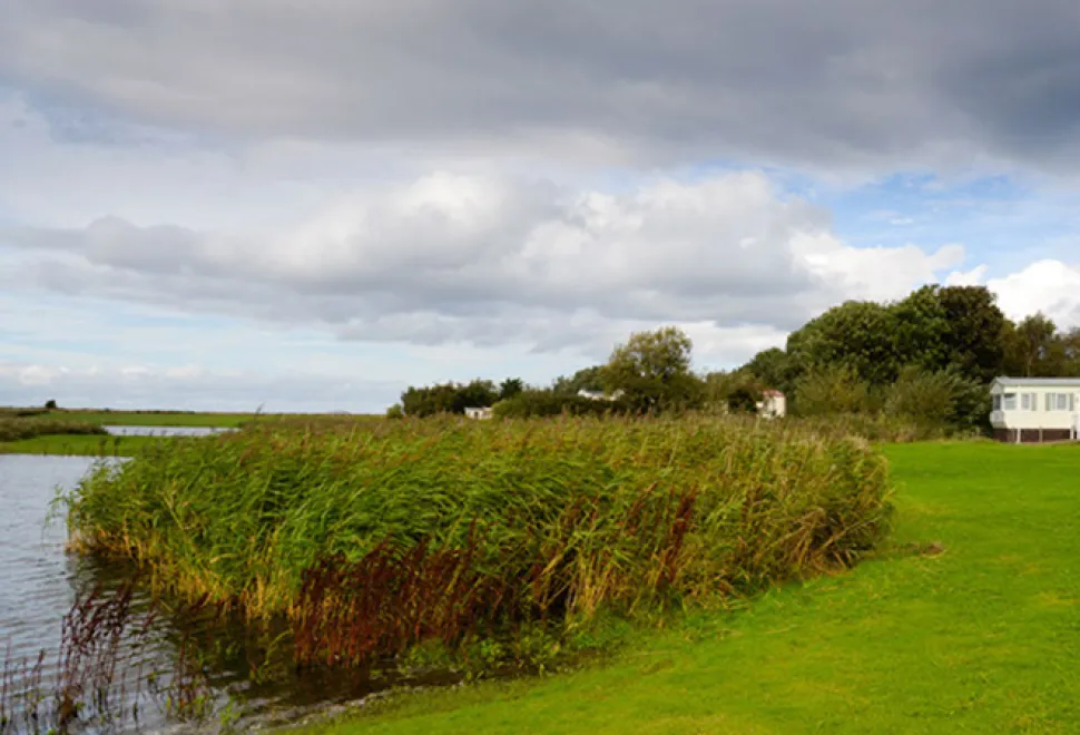 Belhaven Bay 
