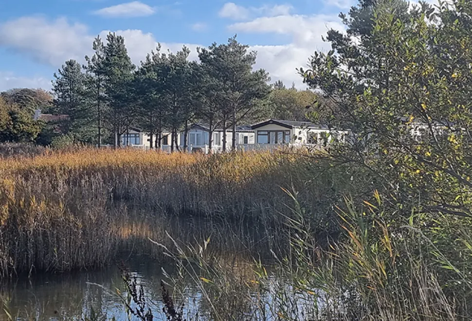 Belhaven Bay 