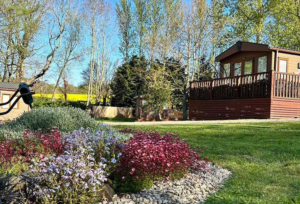 Daisy Bank