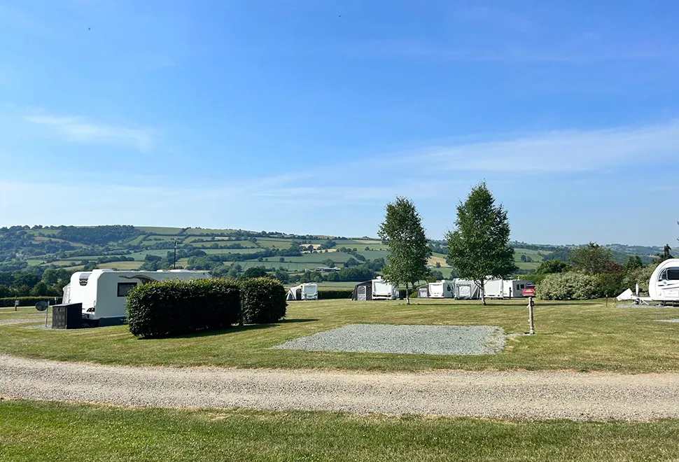 Daisy Bank