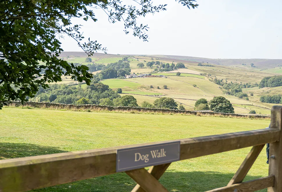 Longnor Wood