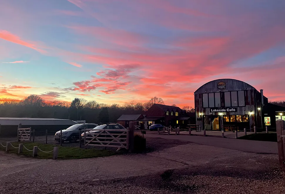 Wylands Farm