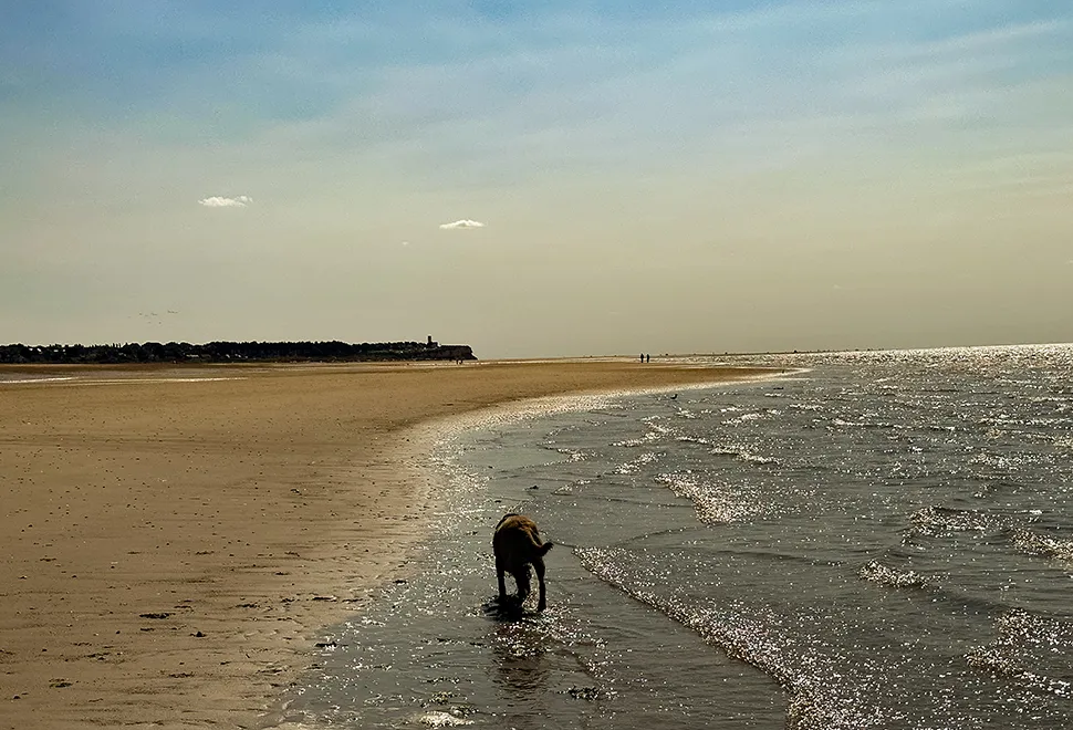 Norfolk Coast Path Camping