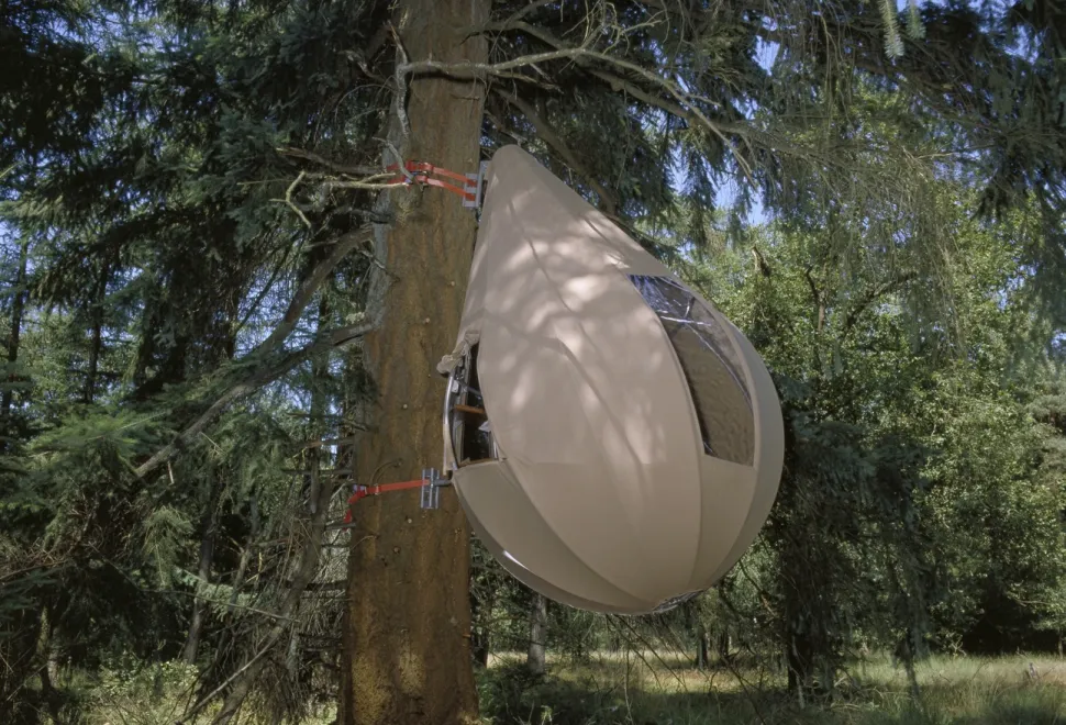 Tree pods