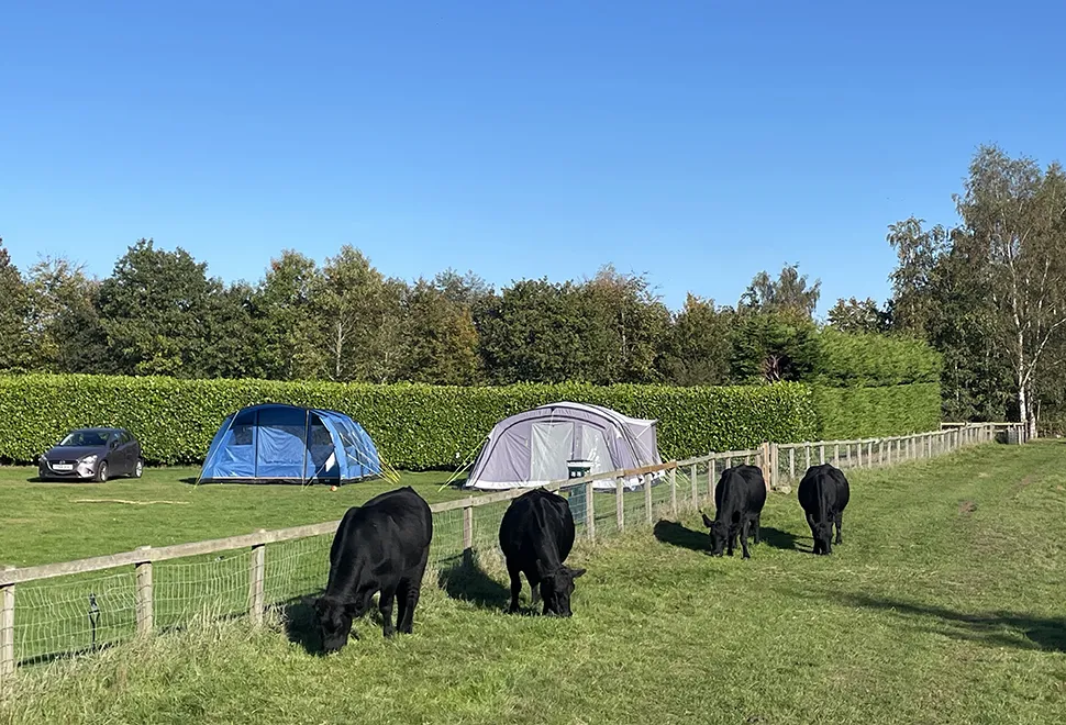 Alders Caravan Park