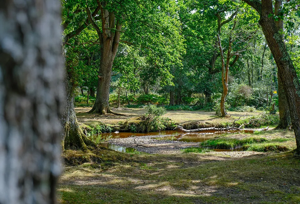 Aldridge Hill