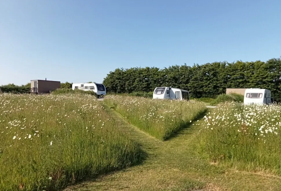 Hallsdown Farm