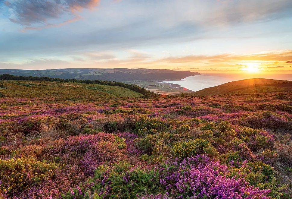 Exmoor