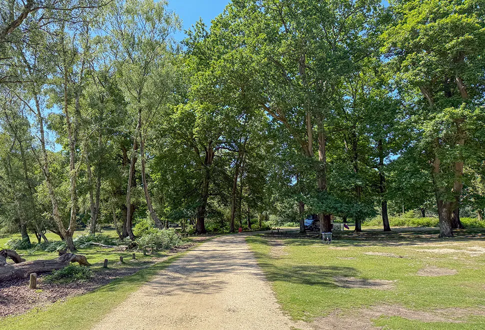 Hollands Wood