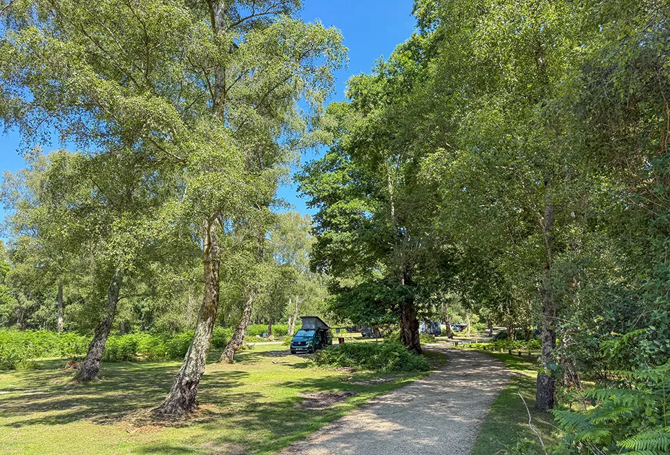 Hollands Wood