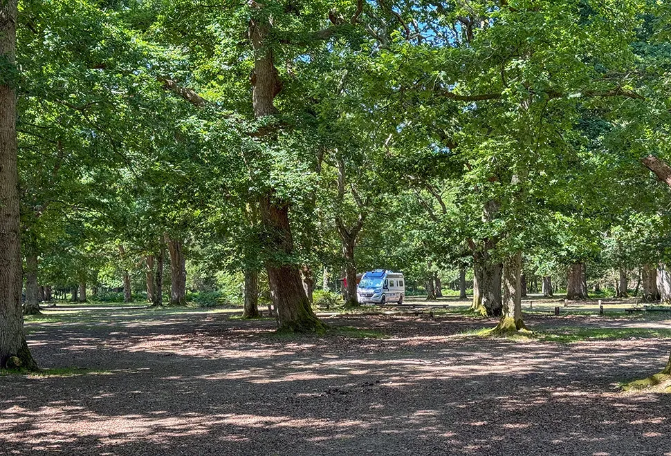 Hollands Wood