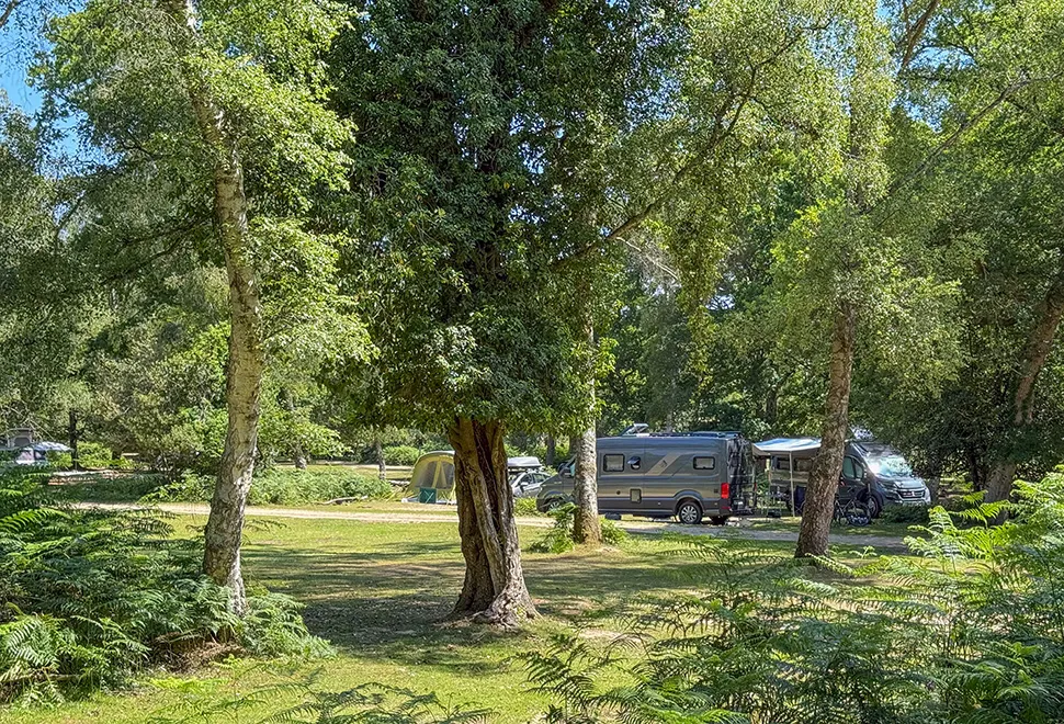 Hollands Wood
