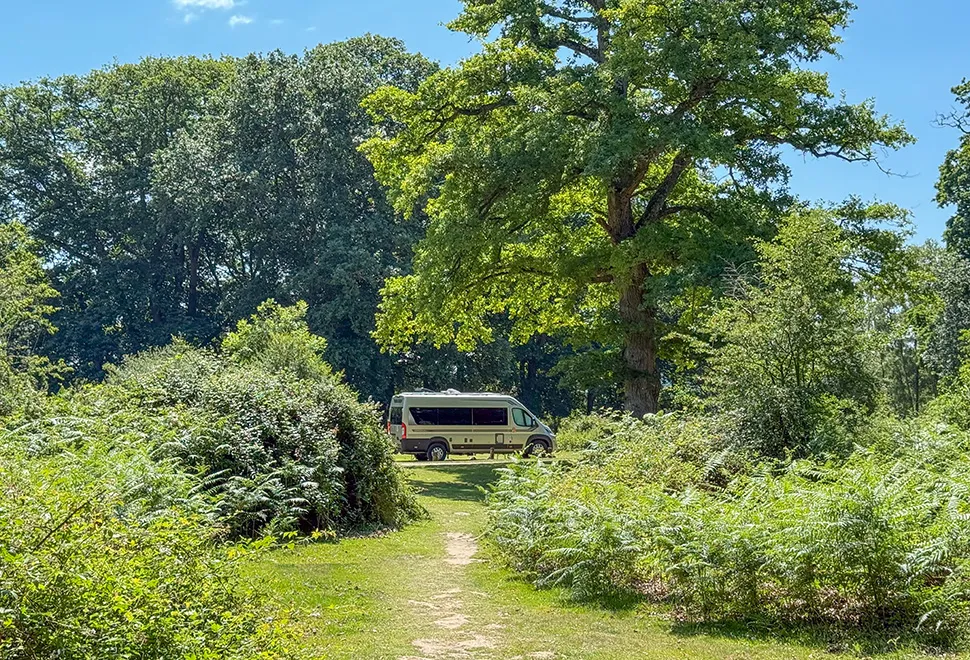 Hollands Wood