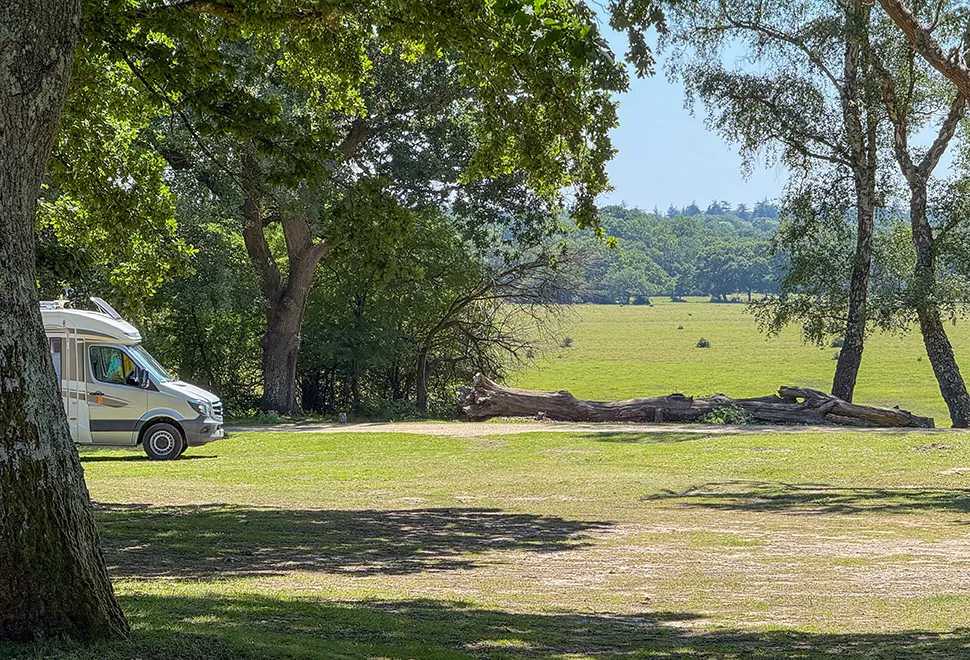 Hollands Wood