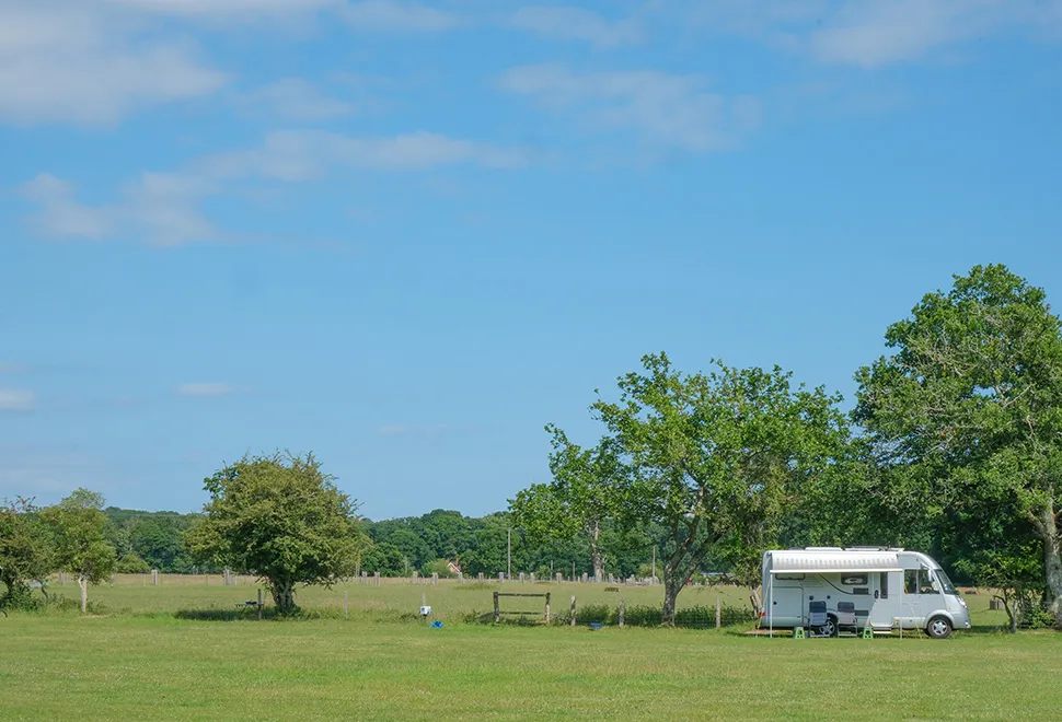Long Meadow