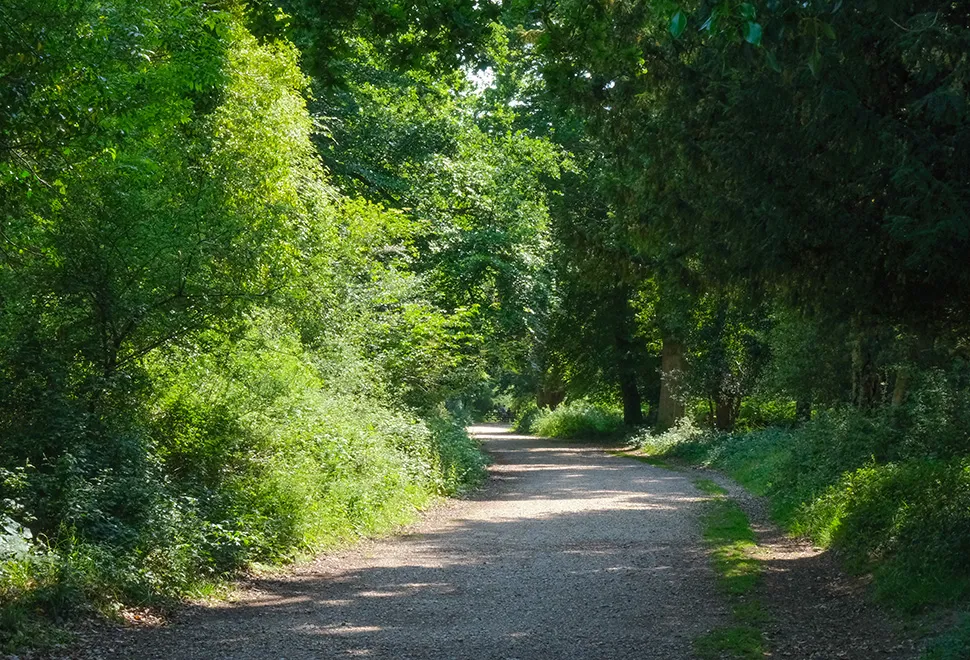 Long Meadow