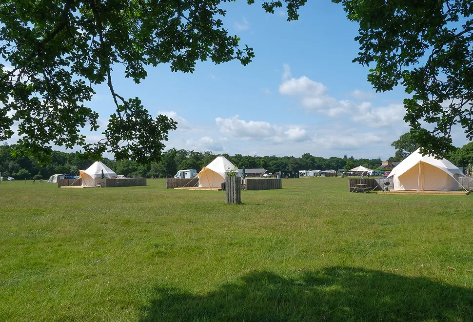 Long Meadow