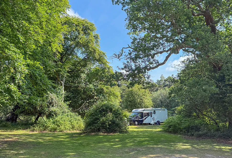 Longbeech