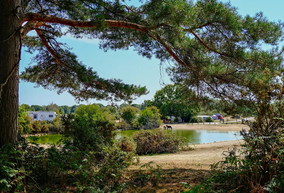 Roundhill