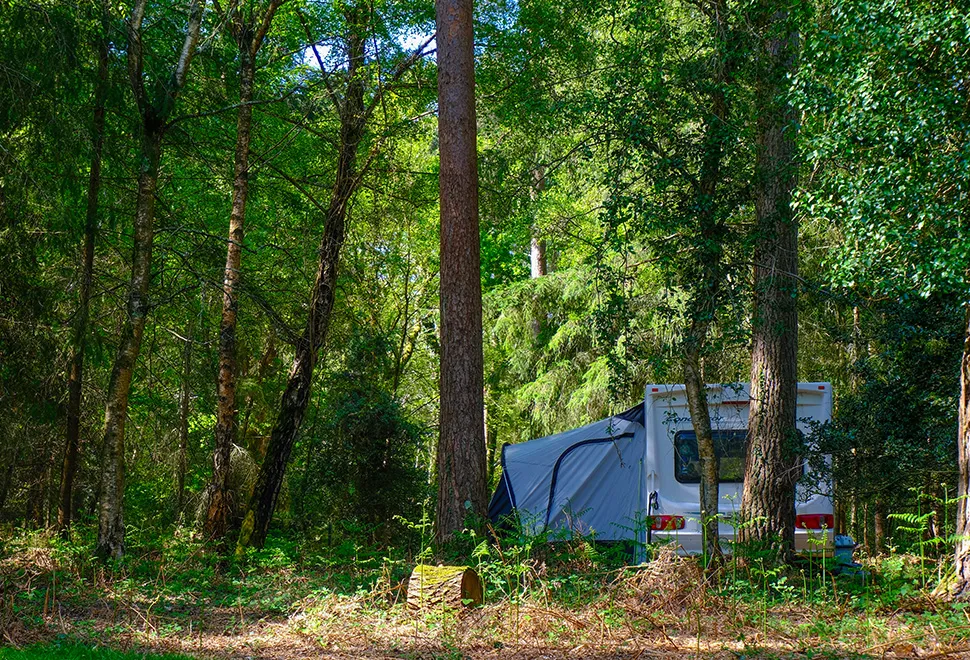 Setthorns Campsite