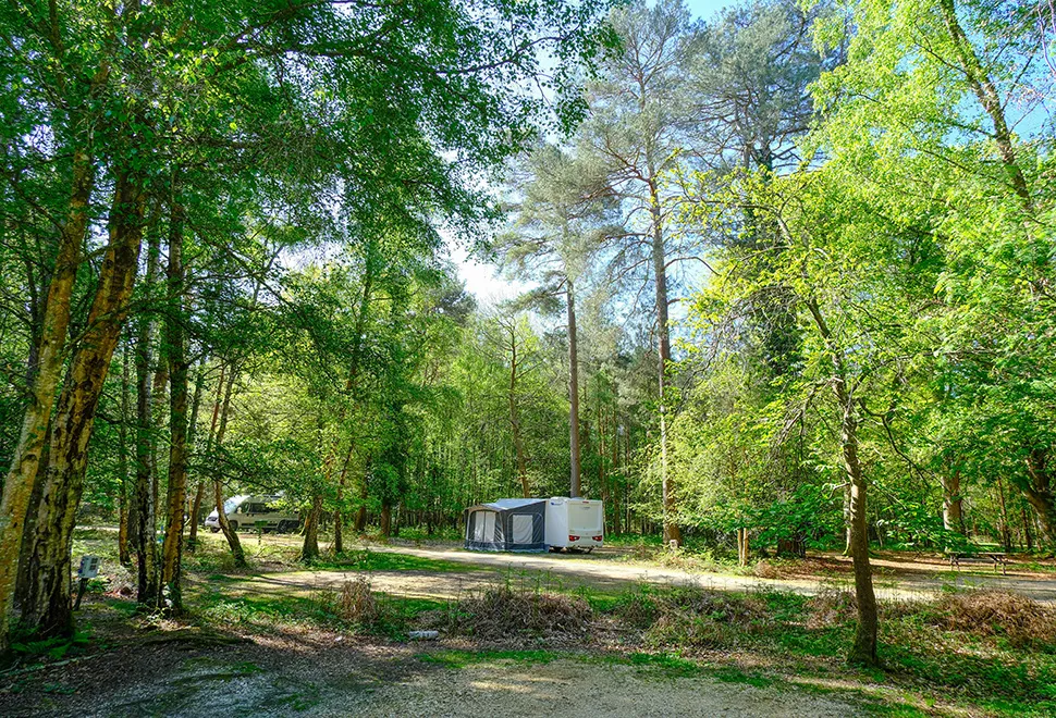 Setthorns Campsite