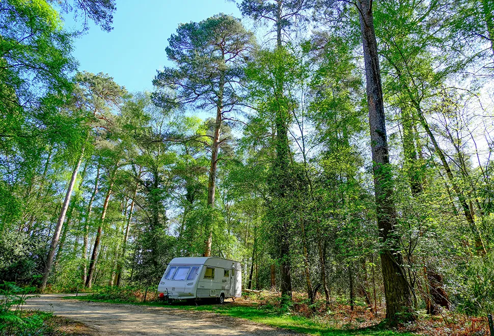 Setthorns Campsite