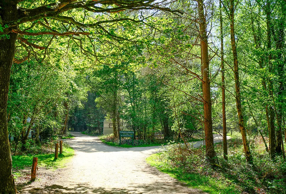 Setthorns Campsite