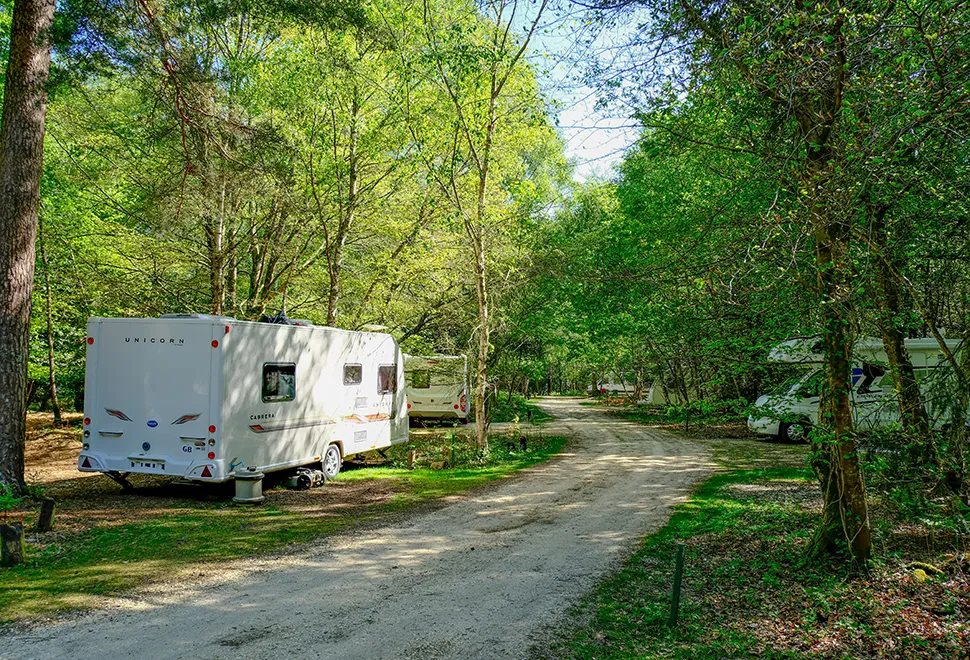 Setthorns Campsite