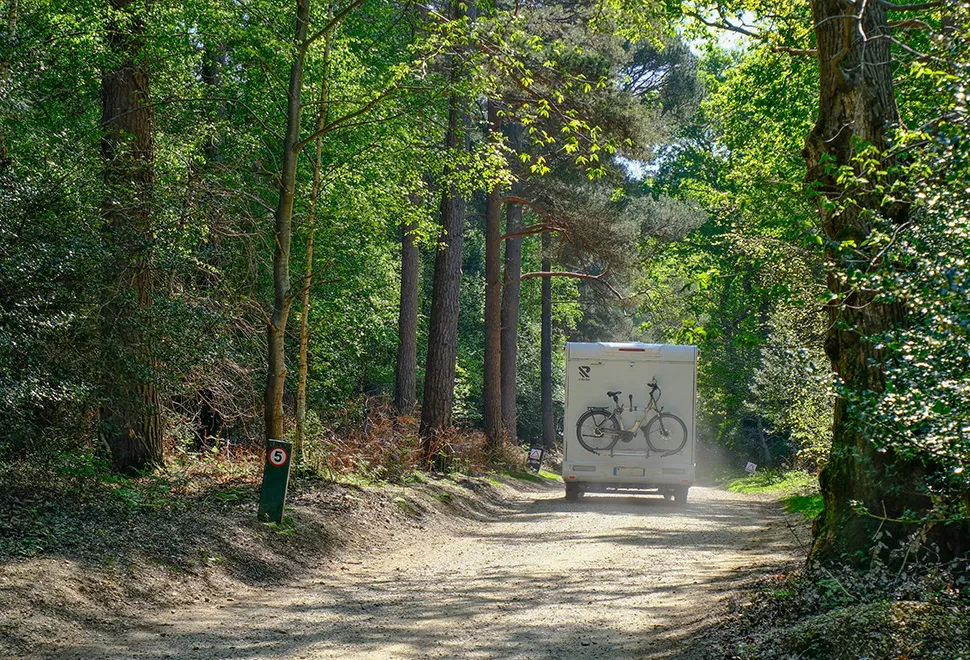 Setthorns Campsite