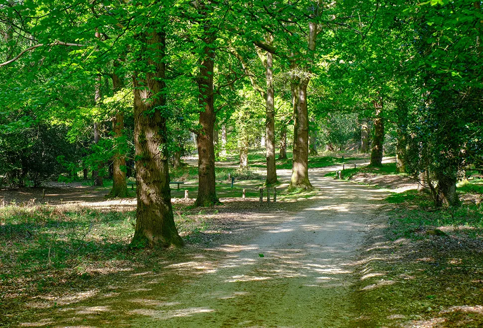 Setthorns Campsite