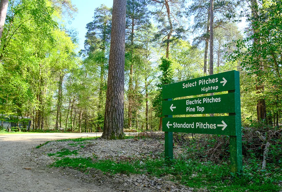 Setthorns Campsite