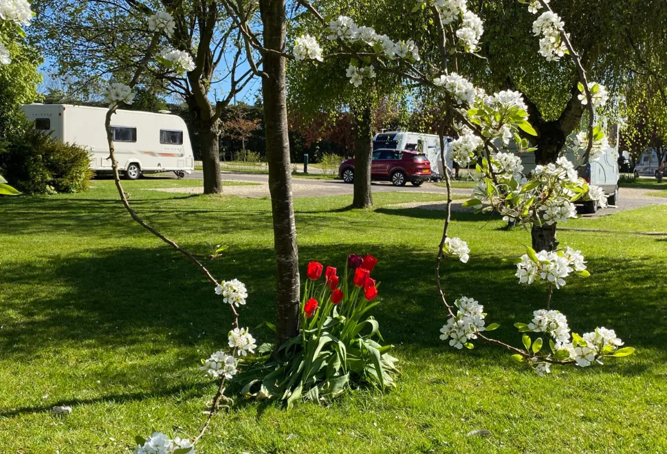 Briarfields Touring Park