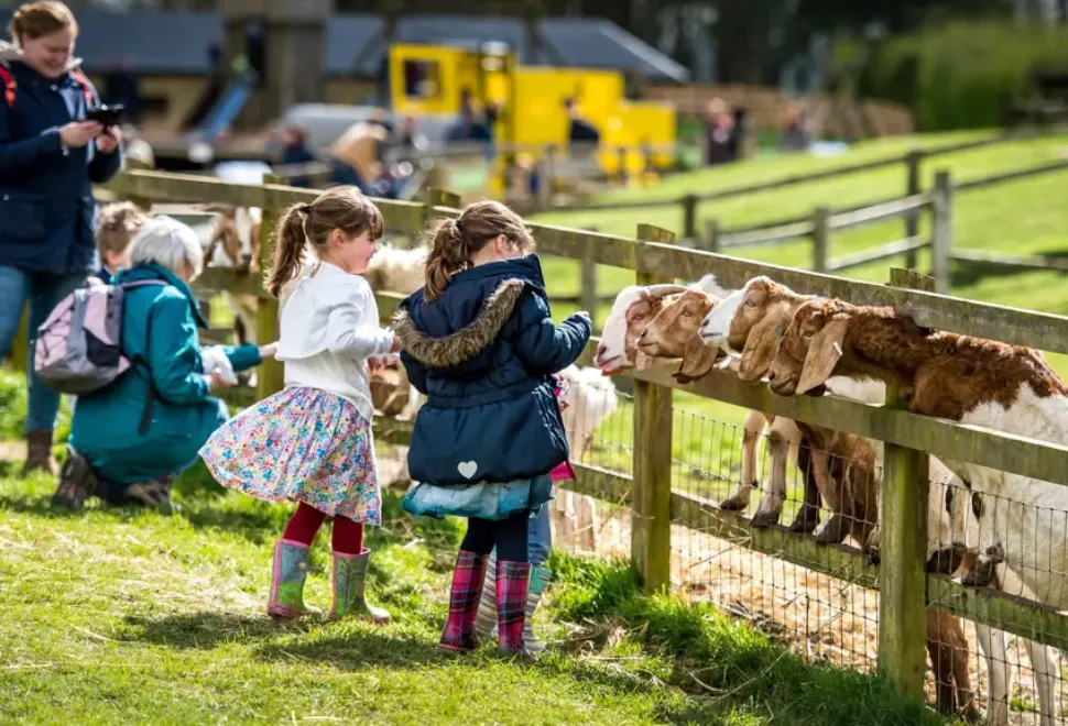 Cotswold Farm Park