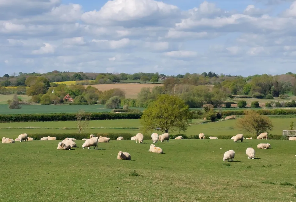 Hope Farm Campsite