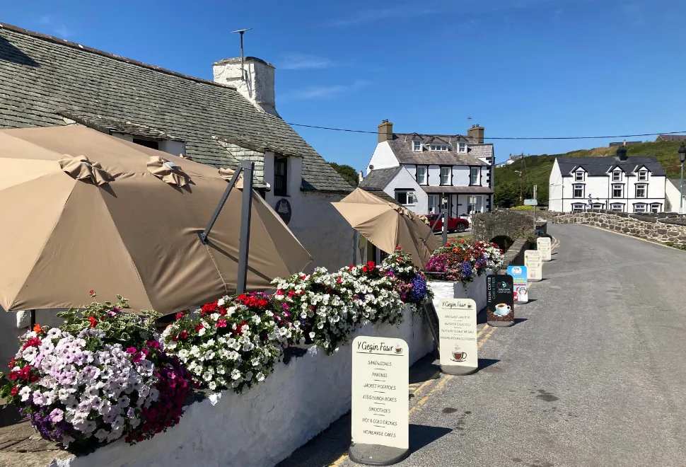 Mynydd Mawr Camping