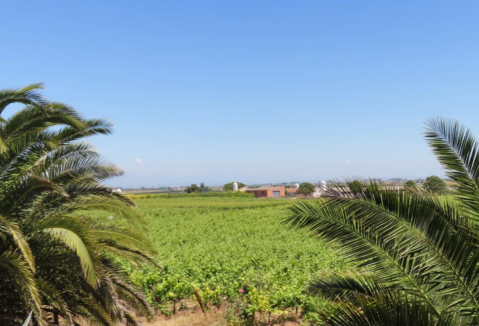 Vinya els Vilars campsite in Spain