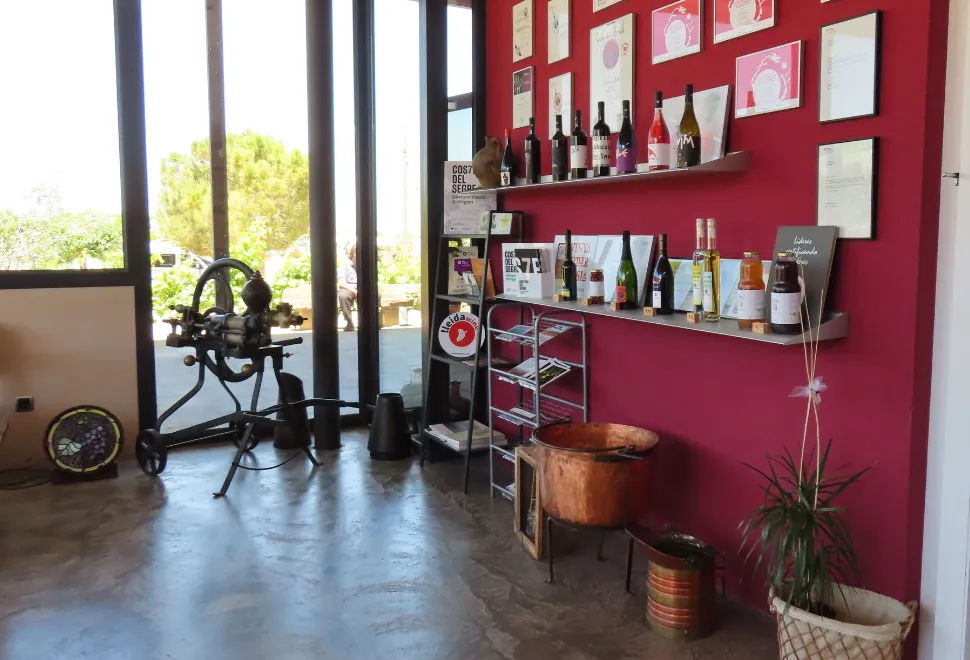 Vinya els Vilars campsite in Spain