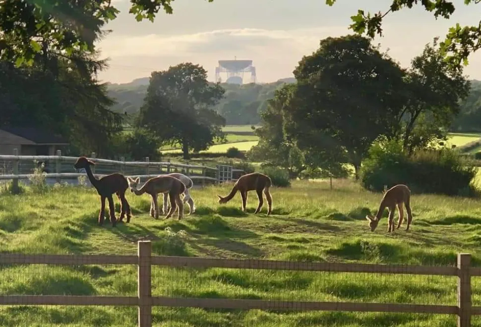 Welltrough Hall Farm
