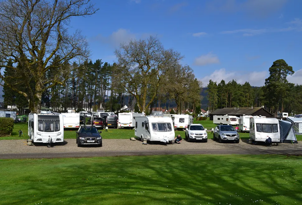 Callander Woods