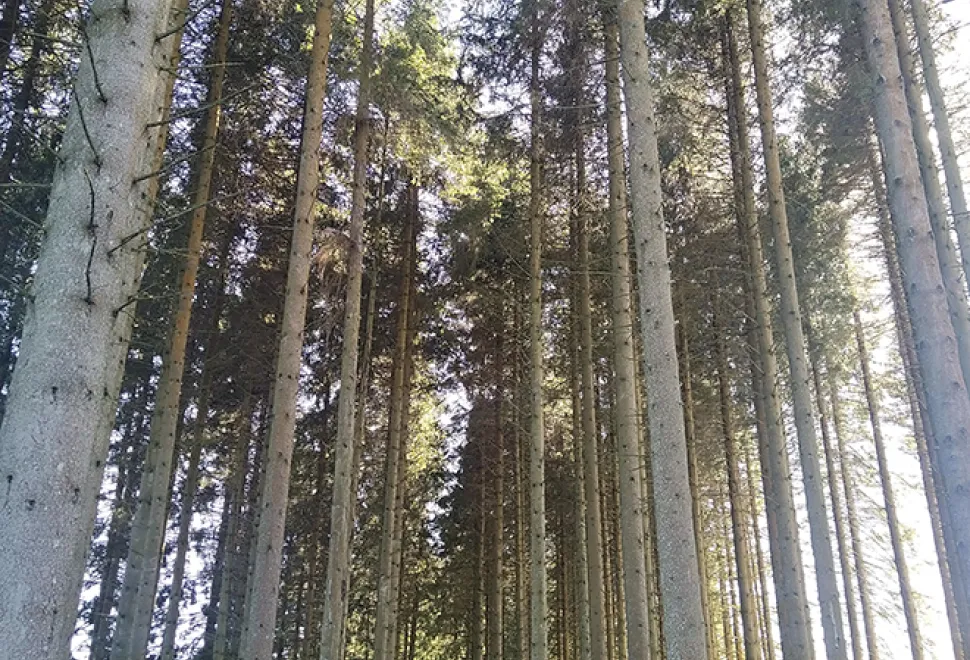 Kielder Water