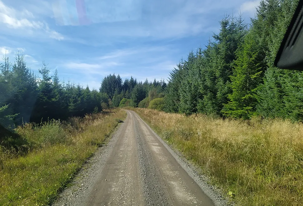 Kielder Forest Drive